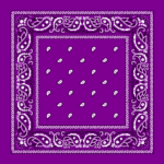 Value Classic Paisley Bandana Imported 100% Cotton