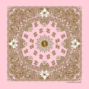 Good Sports Floral Paisley Bandana - 22x22 Inch - 1 piece