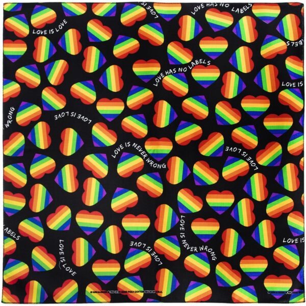Love Has No Labels - Rainbow Bandana - 12 pieces