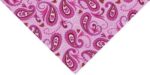 Princess Paw Paisley Triangle Bandana - 22x29x22 Inch - 600pcs/Case