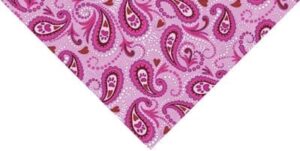Princess Paw Paisley Triangle Bandana - 22x29x22 Inch - 600pcs/Case