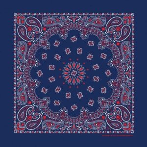 Western Paisley Bandana - Made In Usa , 22X22, 12 Pieces, Blue With Red And White