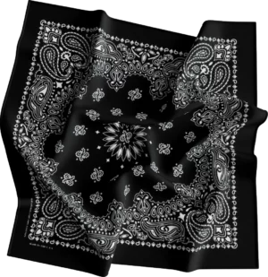 Cm Western Paisley Bandana, Imported, 22X22, 1 Piece, Black