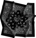 CM Western Paisley Bandanas in Bulk Imported 100% cotton