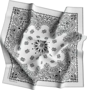 Cm Western Paisley Bandana, Imported, 22X22, 12 Pieces, White