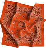 1 piece, CM Western Paisley Bandanas in Bulk Imported 100% cotton, Orange, 22" x 22"