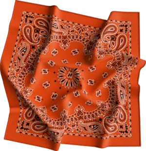 Cm Western Paisley Bandana, Imported, 22X22, 1 Piece, Orange