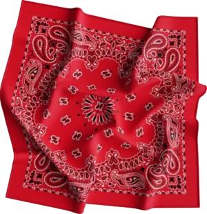Cm Western Paisley Bandana, Imported, 22X22, 1 Piece, Red