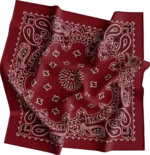 Cm Western Paisley Bandana, Imported, 22X22, 1 Piece, Burgundy / Wine