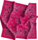 12 pieces, CM Western Paisley Bandanas in Bulk Imported 100% cotton, Hot Pink, 22" x 22"