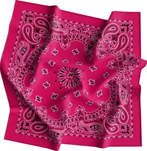 Cm Western Paisley Bandana, Imported, 22X22, 12 Pieces, Hot Pink