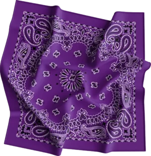 Cm Western Paisley Bandana, Imported, 22X22, 1 Piece, Purple / Grape