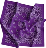 12 pieces, CM Western Paisley Bandanas in Bulk Imported 100% cotton, Purple / Grape, 22" x 22"
