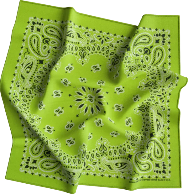 CM Western Paisley Bandanas in Bulk Imported 100% cotton