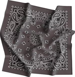 Cm Western Paisley Bandana, Imported, 22X22, 1 Piece, Charcoal Grey