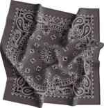 12 pieces, CM Western Paisley Bandanas in Bulk Imported 100% cotton, Charcoal Grey, 22" x 22"