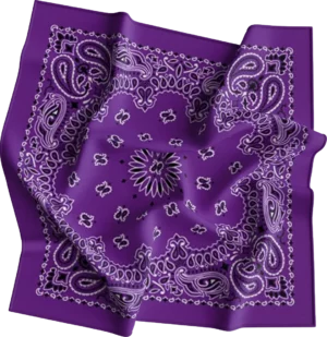 Cm Western Paisley Bandana, Imported, 22X22, 1 Piece, Lavender