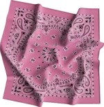 CM Western Paisley Bandanas in Bulk Imported 100% cotton