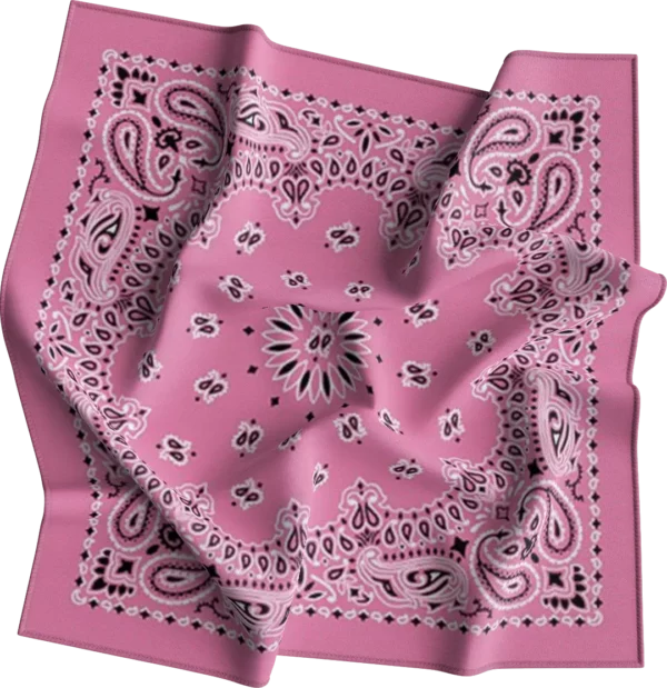 CM Western Paisley Bandanas in Bulk Imported 100% cotton
