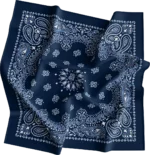 1 piece, CM Western Paisley Bandanas in Bulk Imported 100% cotton, Navy Blue, 22" x 22"