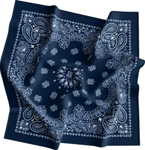 Cm Western Paisley Bandana, Imported, 22X22, 12 Pieces, Navy Blue
