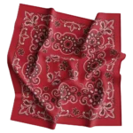 Red, CM Texas Paisley Bandanas Imported 100% Cotton, 12 pieces, 14 x 14"