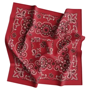 Cm Texas Paisley Bandanas Imported, 27X27, 1 Piece, Red