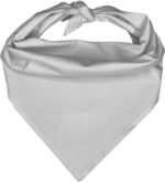 Pet Triangle Solid Bandana, 27X 38X 27, 600Pcs, White,