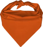 Pet Triangle Solid Bandana, 14X 20X 14, 1Pc, Orange,