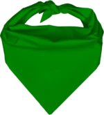 Pet Triangle Solid Bandana, 14X 20X 14, 1Pc, Kelly Green,