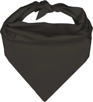 Pet Triangle Solid Bandana, 14X 20X 14, 1Pc, Dark Grey,