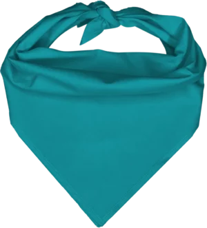 Pet Triangle Solid Bandana, 14X 20X 14, 12Pcs, Turquoise,