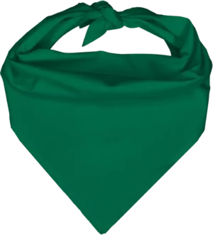 Pet Triangle Solid Bandana, 14X 20X 14, 12Pcs, Teal,