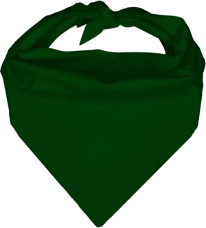 Pet Triangle Solid Bandana, 14X 20X 14, 1Pc, Hunter Green,