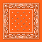 Classic Paisley Bandana Imported, 22X22, 1 Piece, Orange