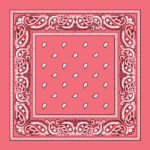 Classic Paisley Bandana Imported, 22X22, 600Pcs/Case, Pink