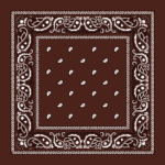 Value Classic Paisley Bandana Imported 100% Cotton