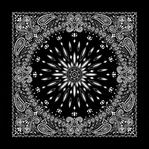 Circular Burst Paisley Bandana Imported 100 22X22, 1 Piece, Black