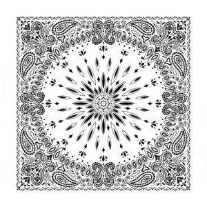 Circular Burst Paisley Bandana Imported 100 22X22, 600Pcs/Case, White