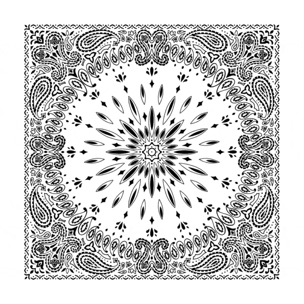 600pcs/Case, Circular Burst Paisley Bandana Imported 100% Cotton, White, 22" x 22"