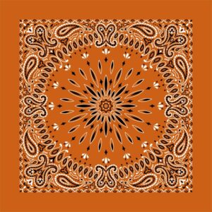 Circular Burst Paisley Bandana Imported 100 22X22, 1 Piece, Burnt Orange Rust