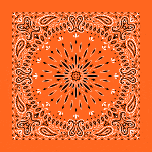 Circular Burst Paisley Bandana Imported 100 22X22, 1 Piece, Orange