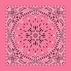 Circular Burst Paisley Bandana Imported 100 22X22, 1 Piece, Pink