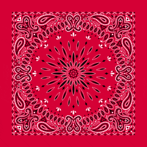 Circular Burst Paisley Bandana Imported 100 22X22, 1 Piece, Red