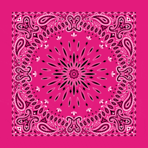 Circular Burst Paisley Bandana Imported 100 22X22, 1 Piece, Hot Pink
