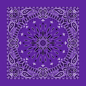 Circular Burst Paisley Bandana Imported 100 22X22, 12 Pieces, Purple