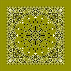 Circular Burst Paisley Bandana Imported 100 22X22, 1 Piece, Olive Green