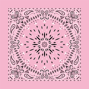 Circular Burst Paisley Bandana Imported 100 22X22, 600Pcs/Case, Light Pink