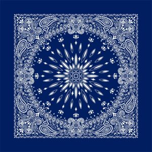 Circular Burst Paisley Bandana Imported 100 22X22, 1 Piece, Navy Blue