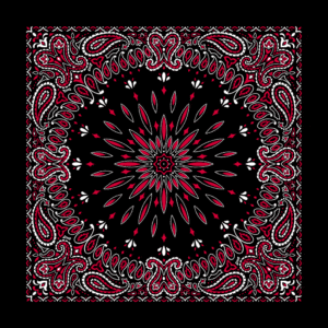 Circular Burst Paisley Bandana Imported 100 22X22, 12 Pieces, Black With Red